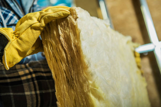 Professional Insulation Contractor in Noblesville, IN