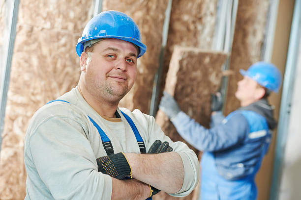 Best Cellulose Insulation in Noblesville, IN