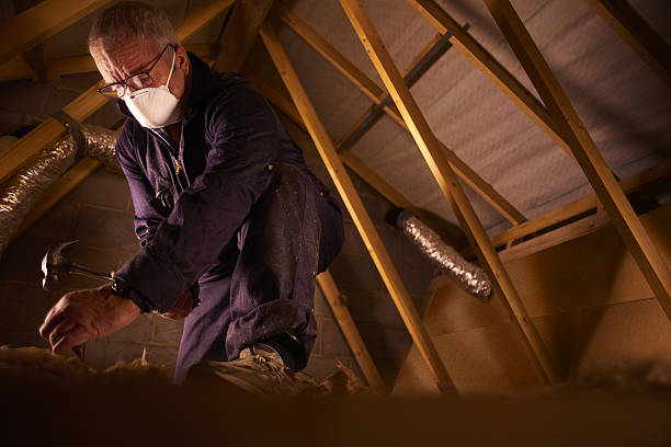 Best Blown-in Insulation in Noblesville, IN